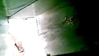 গাড়ি যৌনতা
