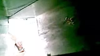 Skanky এশিয়ান খোকা  ...