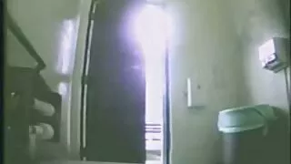 কালো অশ্বপালনের উল্ট ...