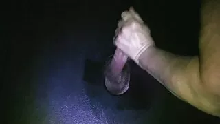 একটি গরম রক্তের অশ্ব ...