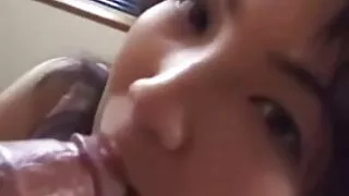 স্যাগি মাই সহ টরিড র ...