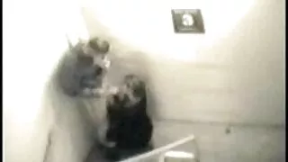 চিত্তাকর্ষক স্বর্ণকে ...