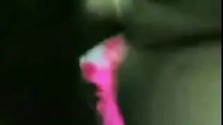 গর্ভবতী জাপানি শ্যাম ...