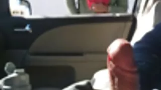 নোংরা হালকা কেশবিশিষ ...