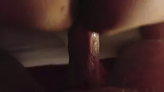 ওয়াইল্ড কুগার চেলসি ...