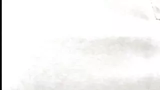 এশিয়ান স্লাট তার লো ...