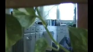 চর্মসার এশিয়ান স্লট ...