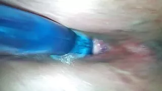 চেক হটি অ্যালেক্সিস  ...