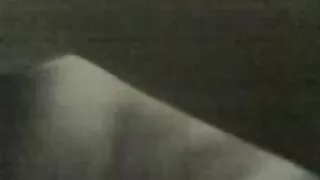 সাদা ফিশনেটের মধ্যে  ...