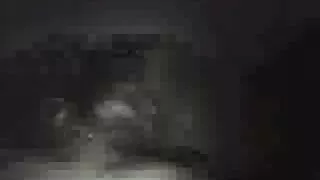 সুন্দর রাশিয়ান কুক্ ...