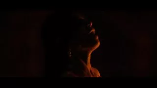 ইউরোপীয় স্বর্ণকেশী  ...
