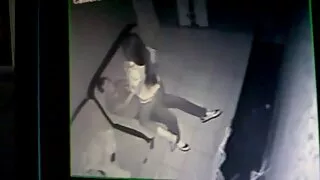 সূক্ষ্ম মিল্ফ লিসা অ ...