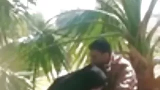 রসালো মাই সহ ক্ষুধার ...